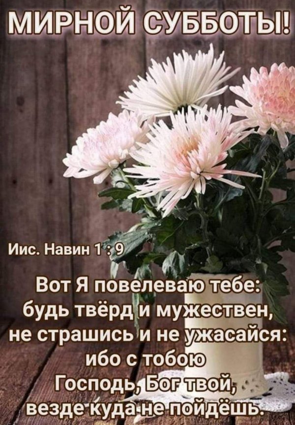 библейские стихи