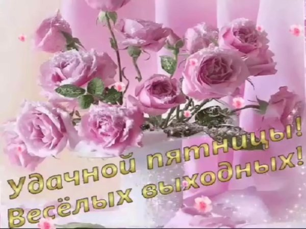 удачного вам дня