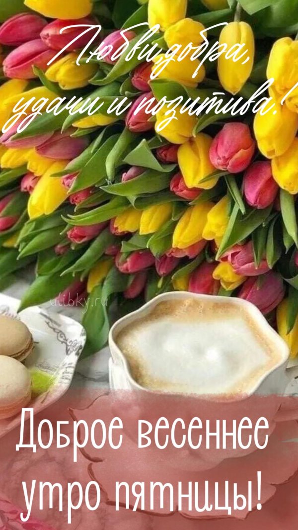 доброе мартовское пятничное утро