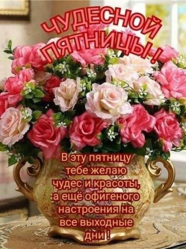 красивые цветы