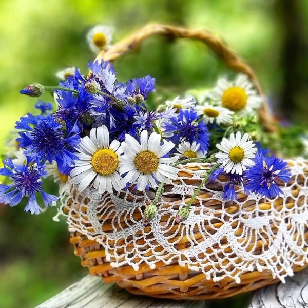 вспомним лето