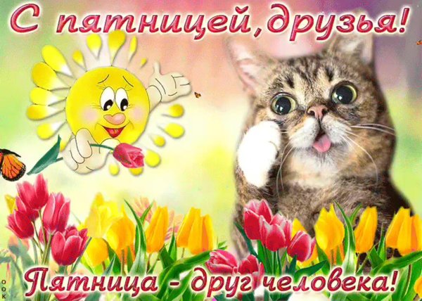 удачной пятницы