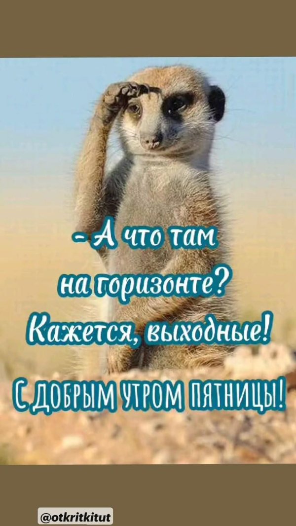 а что там на горизонте кажется выходные