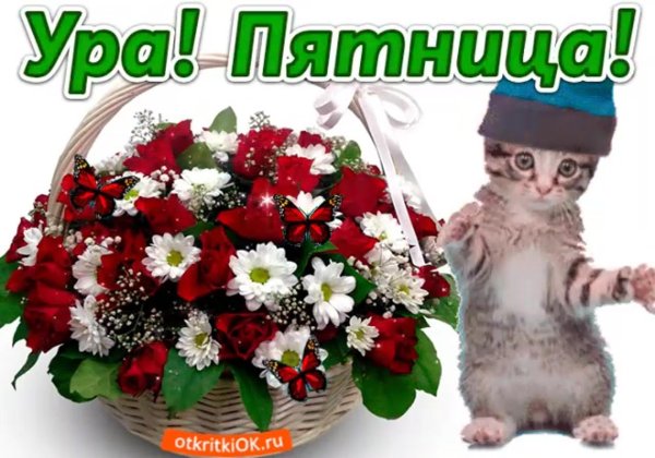 ура пятница