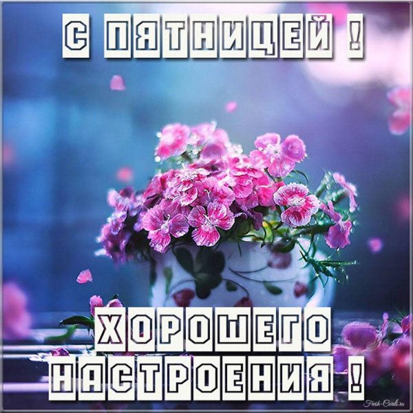 доброго вечера пятница