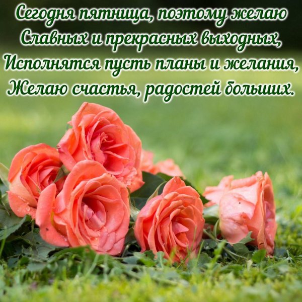 замечательной пятницы