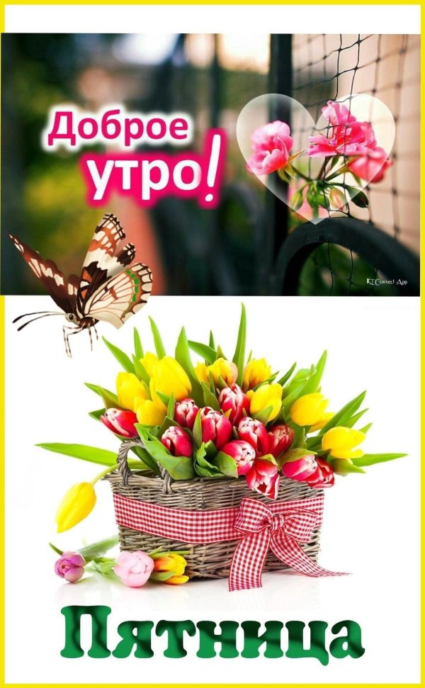 доброе мартовское пятничное утро