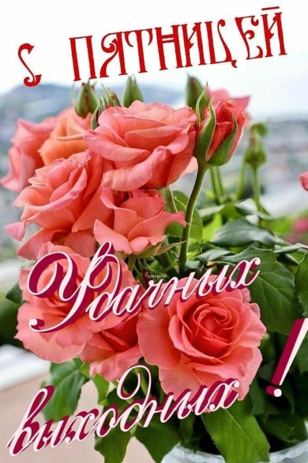 с добрым утром розы красивые