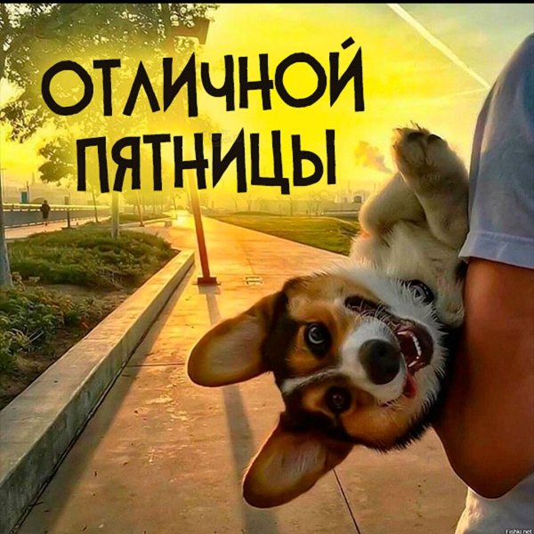 пятница пора расслабиться