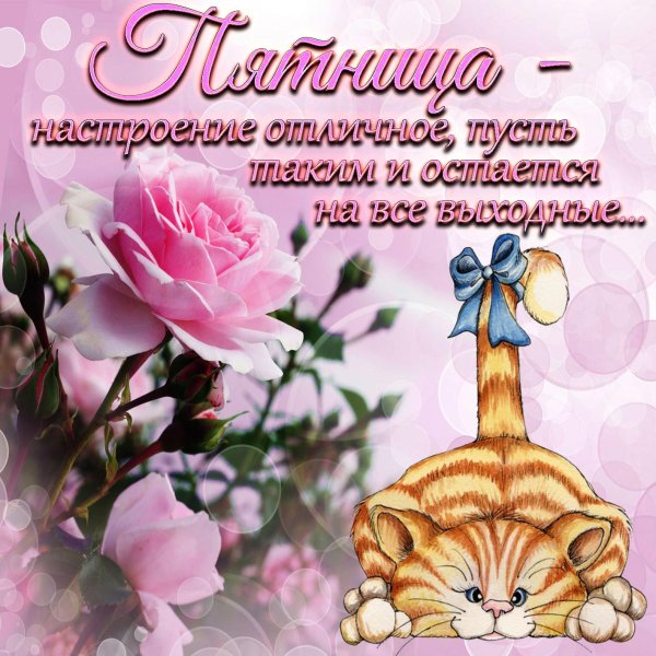 пятница поздравления