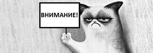 кот с табличкой