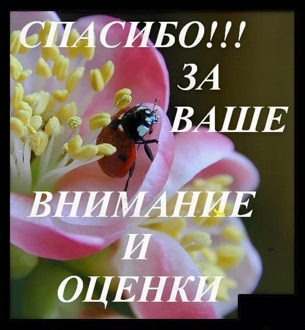 божие коровки