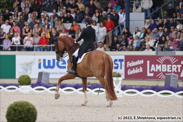 изабель верт