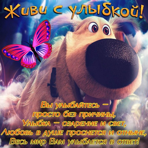 песик из мультика вверх