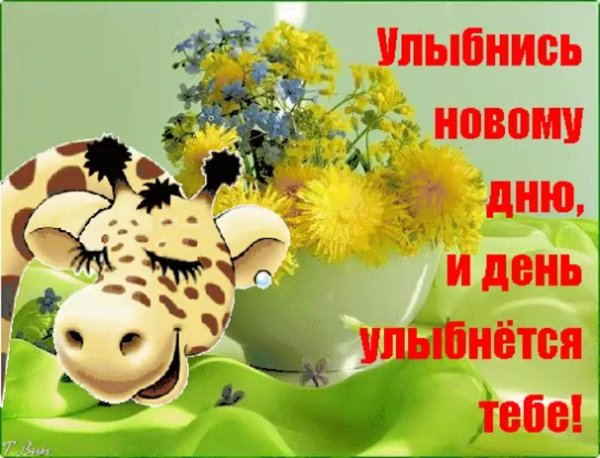 улыбнись новому дню