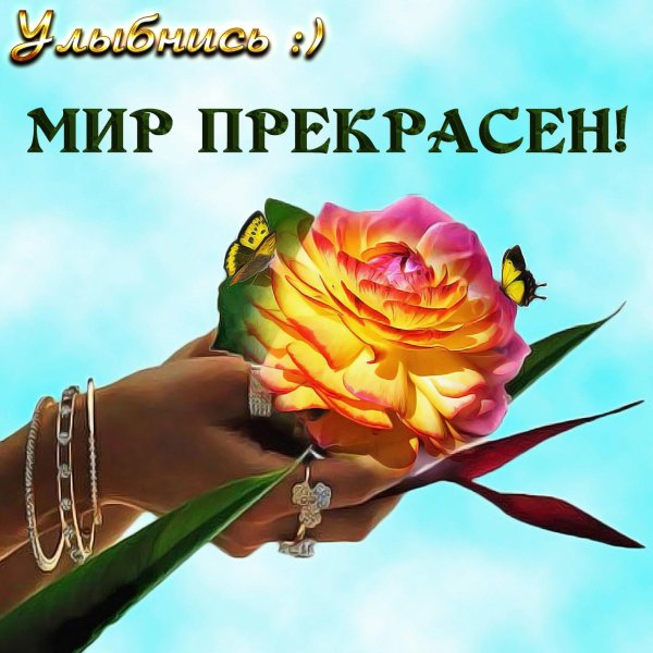 спасибо счастья