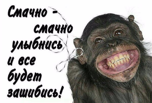 улыбнись прикол