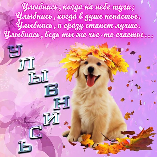 красивое поздравление для девочки