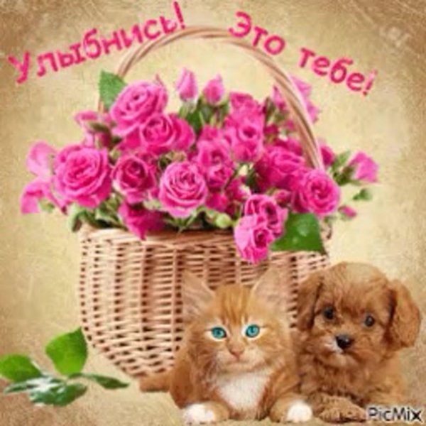 открытки и пожелания