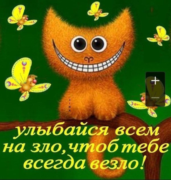 улыбнись картинки