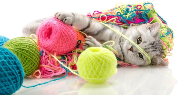 кот с клубком