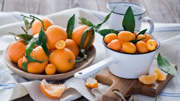 кумкват оранжевый