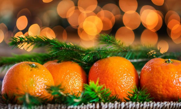 мандарины под елкой
