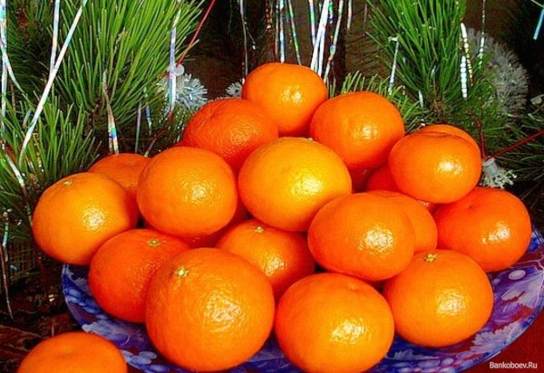 мандарины апельсины