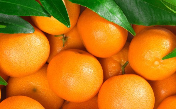 юнос цитрус