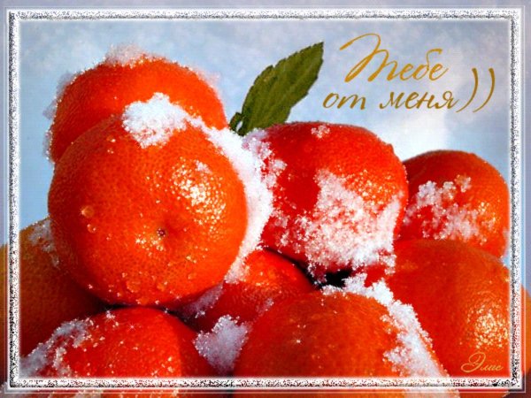 апельсины на снегу