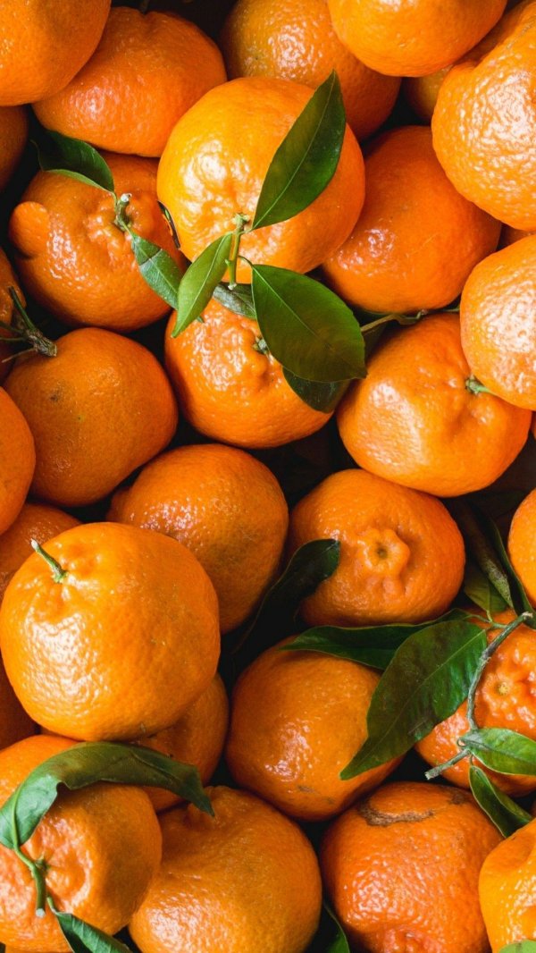 сорт мандаринов клементина