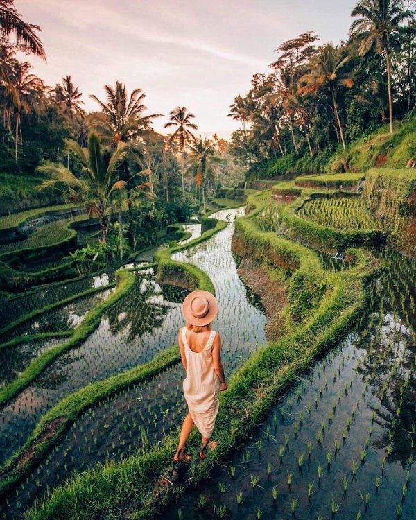 bali ubud