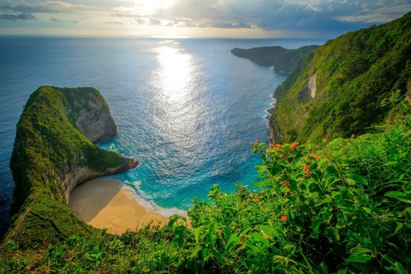 нуса пенида