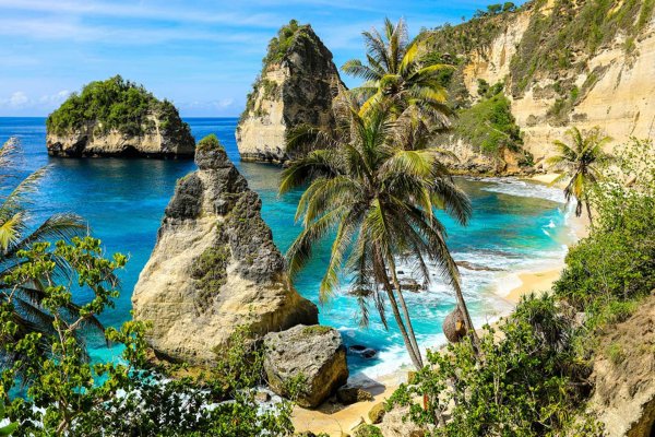 тропические пляжи