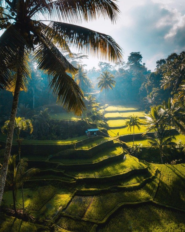 индонезия природа