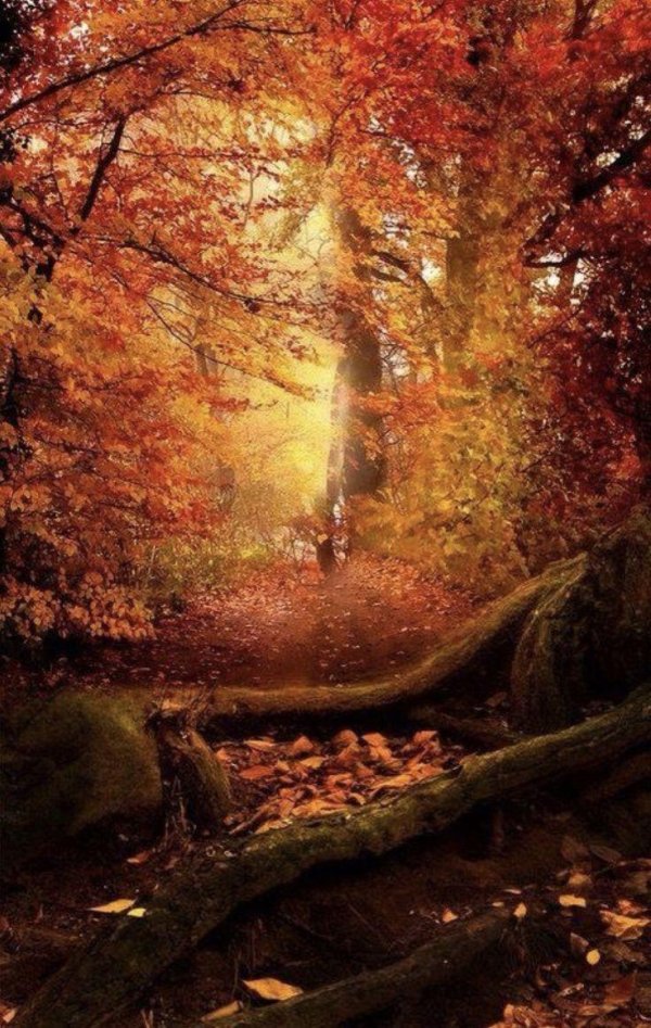 волшебный осенний пейзаж