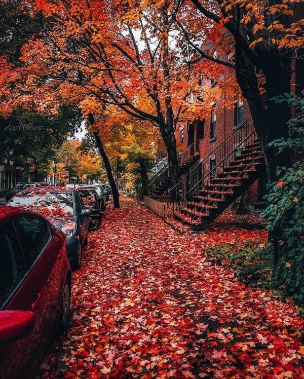 осенний нью йорк пригород