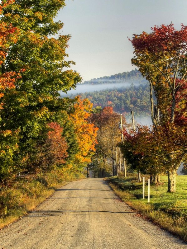 осенние пейзажи