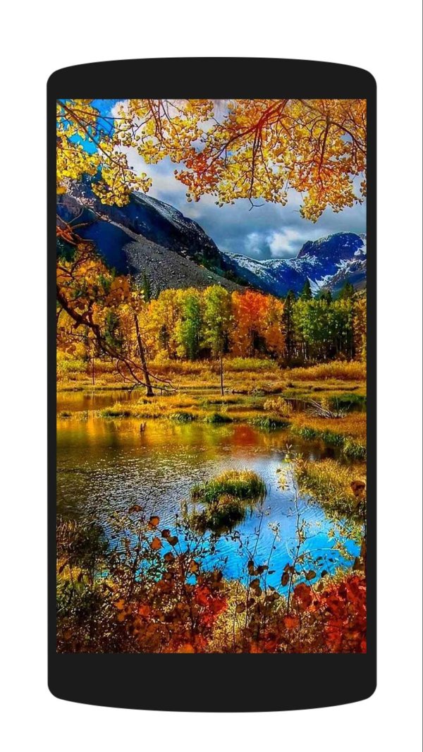 темы для телефона андроид природа