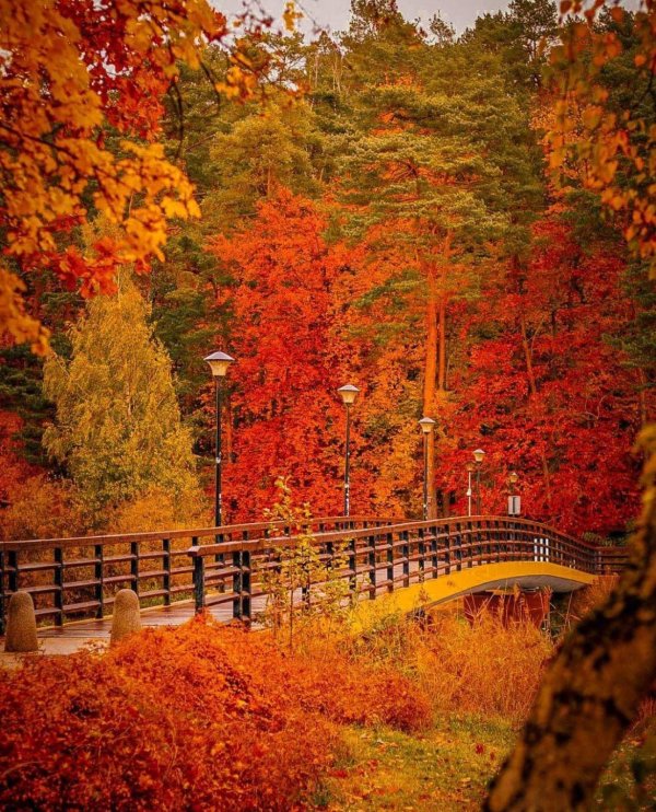 красивой осени