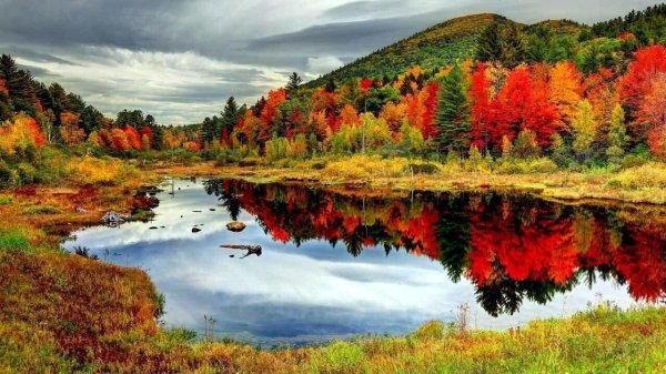 осенние пейзажи