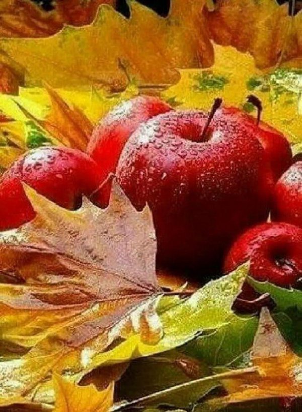 фрукты осенние