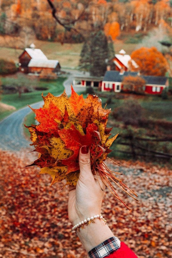 осеннее вдохновение