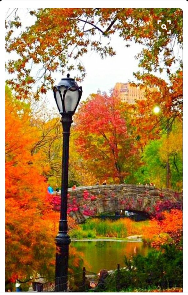 осенний парк