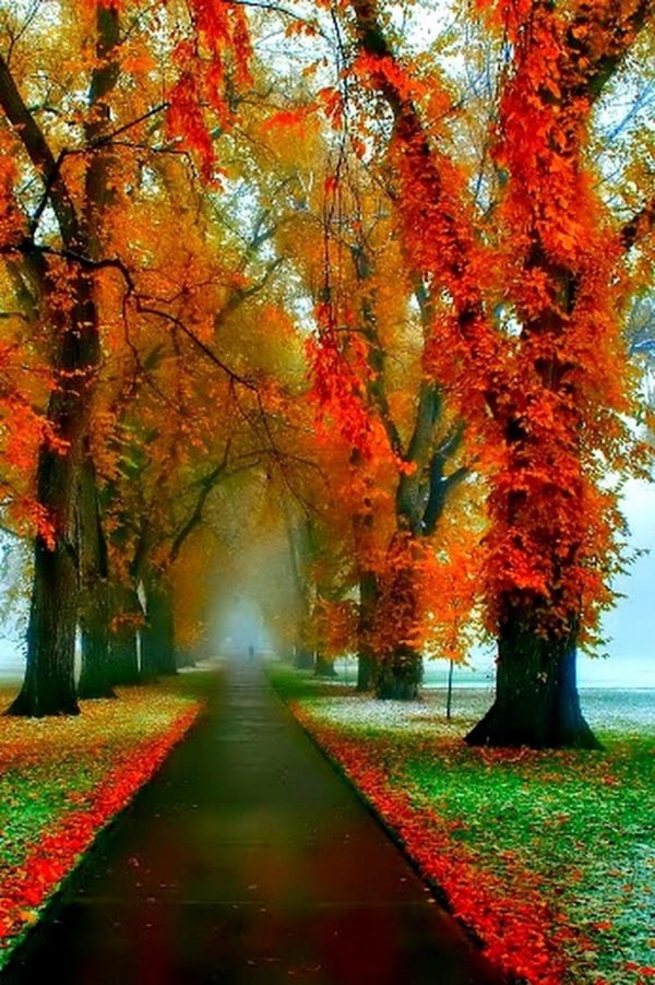 осенние пейзажи