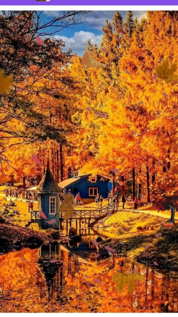 осенние пейзажи