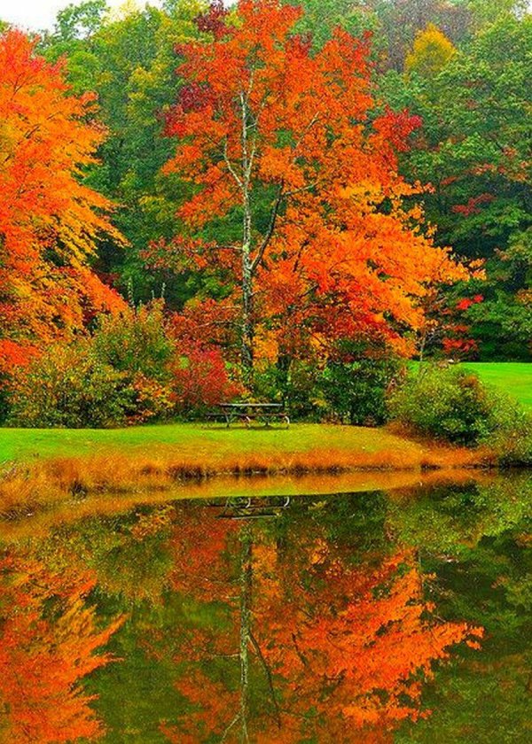 осенние пейзажи