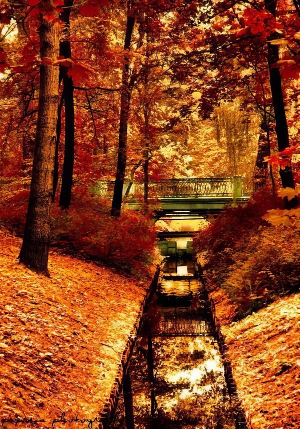 осенний пейзаж с мостиком