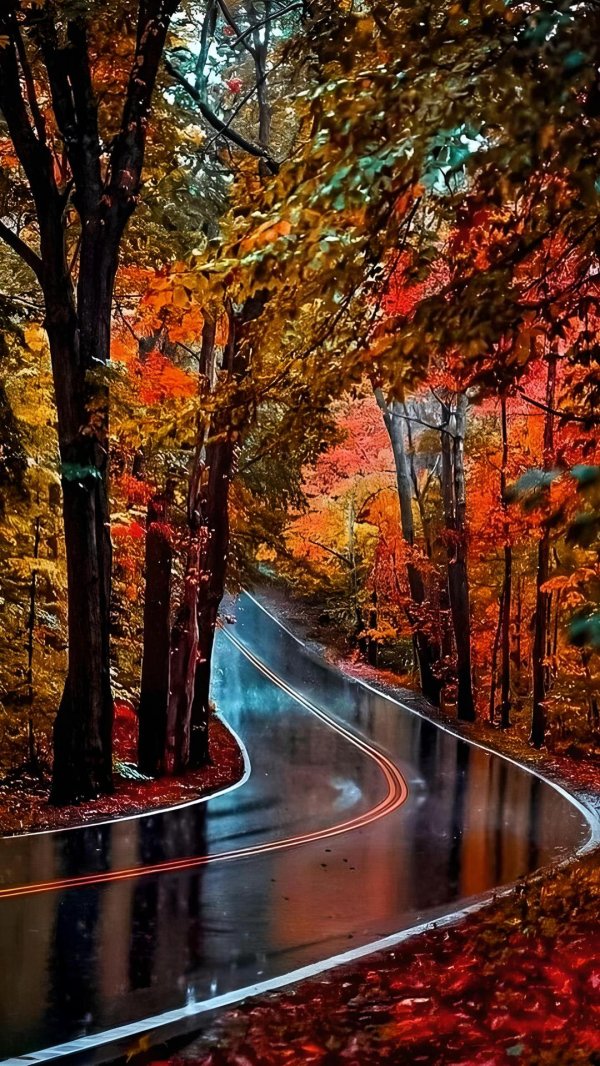 осенняя дорога