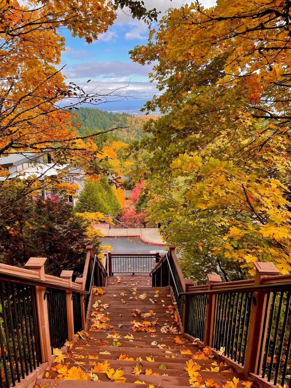 осенние фотографии